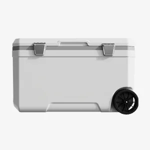 Car Camping Coolers for Chrysler Pacifica/Town/Country, Waterproof Portable Cooler, Leak Proof Picnic Insulated Bag, Ultra-Light Premium Ice Chest Box,B-White-70L