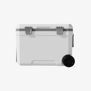 Car Camping Coolers for Ford Ka/Expedition/Explorer/Ranger/Bronco, Waterproof Portable Cooler, Leak Proof Picnic Insulated Bag, Ultra-Light Premium Ice Chest Box,B-White-45L