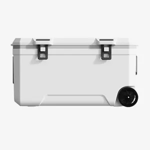 Car Camping Coolers for RAM 1000/RAM 1200/RAM 1500/RAM 700, Waterproof Portable Cooler, Leak Proof Picnic Insulated Bag, Ultra-Light Premium Ice Chest Box,B-White-120L