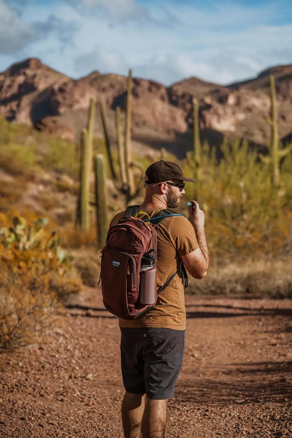 Eddie Bauer Venture Backpack with Organization Compartments and Hydration/Laptop Compatible Sleeve, Redwood/Antique Gold, 30L