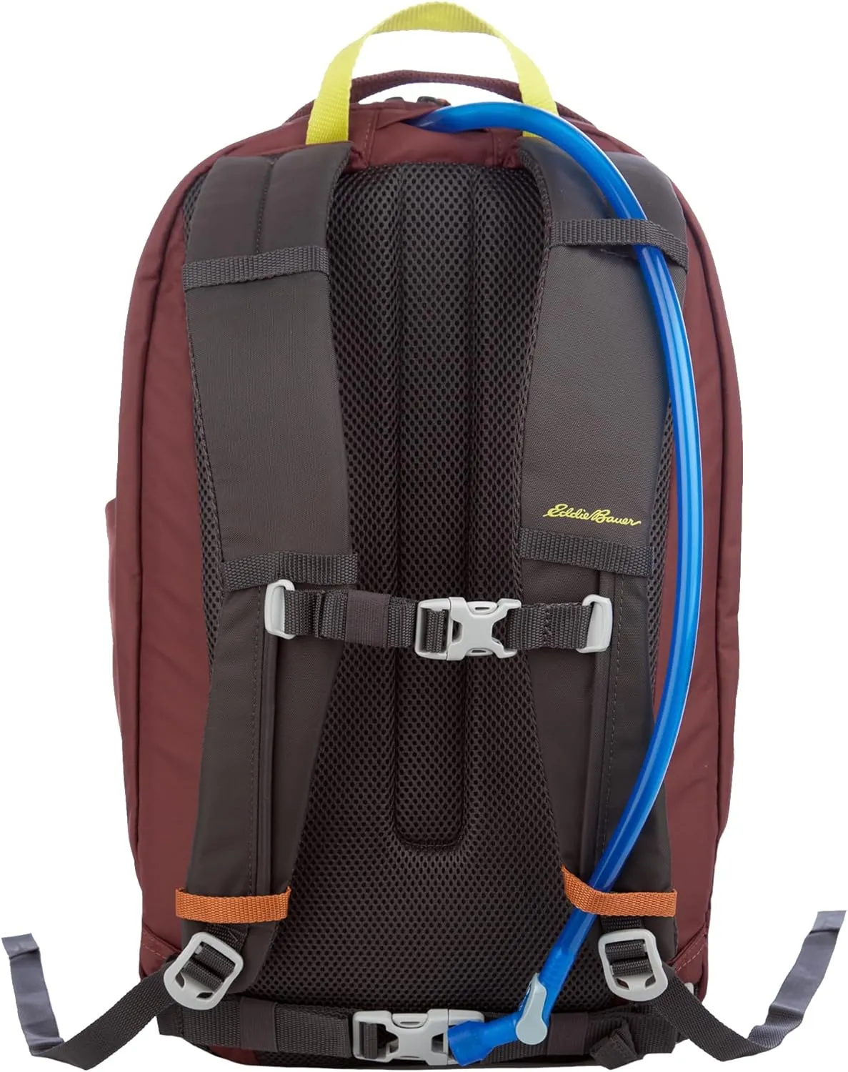 Eddie Bauer Venture Backpack with Organization Compartments and Hydration/Laptop Compatible Sleeve, Redwood/Antique Gold, 30L
