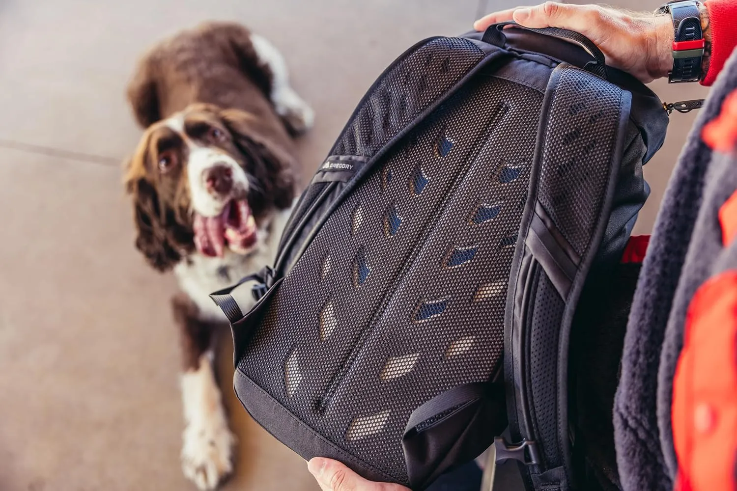 Gregory 18L US, Spark Navy, 18 Lang