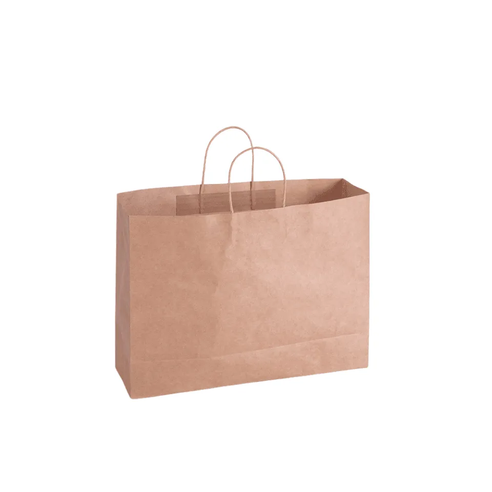 Kraft Carry Craft Paper Bags 50PCS 5Sizes Brown
