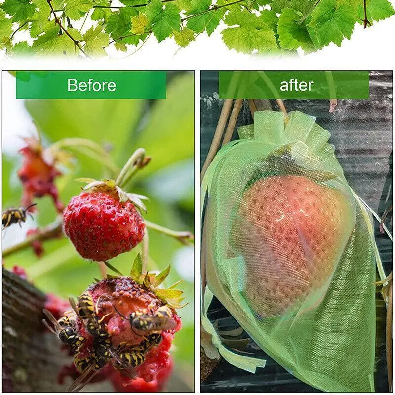 Organza Fruit Protection Bags 50-100PCS 3Sizes Green