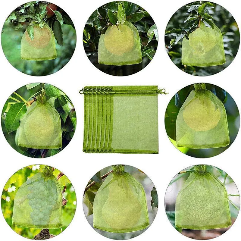 Organza Fruit Protection Bags 50-100PCS 3Sizes Green