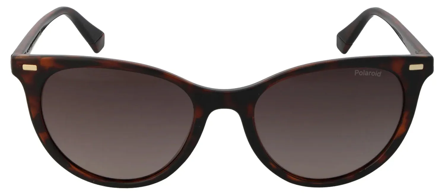 Polaroid PLD 4107/S 086_LA Cat-Eye Plastic Havana Sunglasses with Brown Polarized Lens