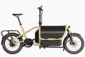Riese & Muller Carrie  Electric Cargo Bike