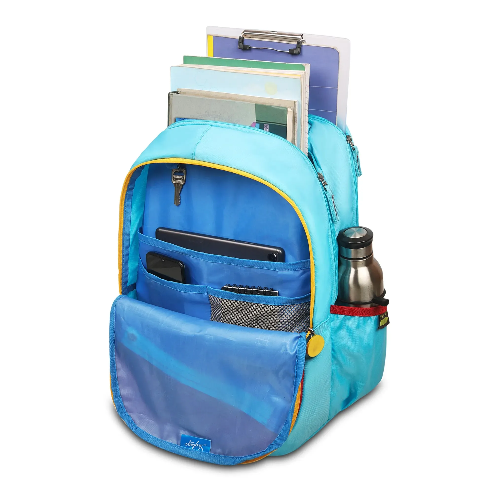 Skybags Chase  School Backpack