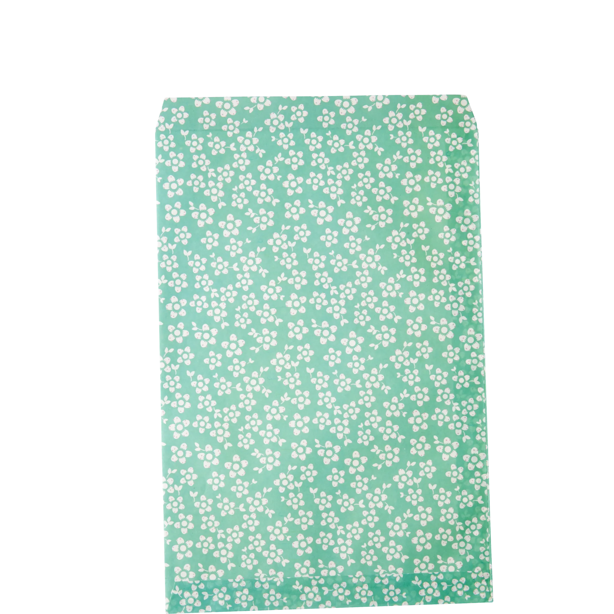 Small Paper Bag - Aqua - Winter Blossom Print