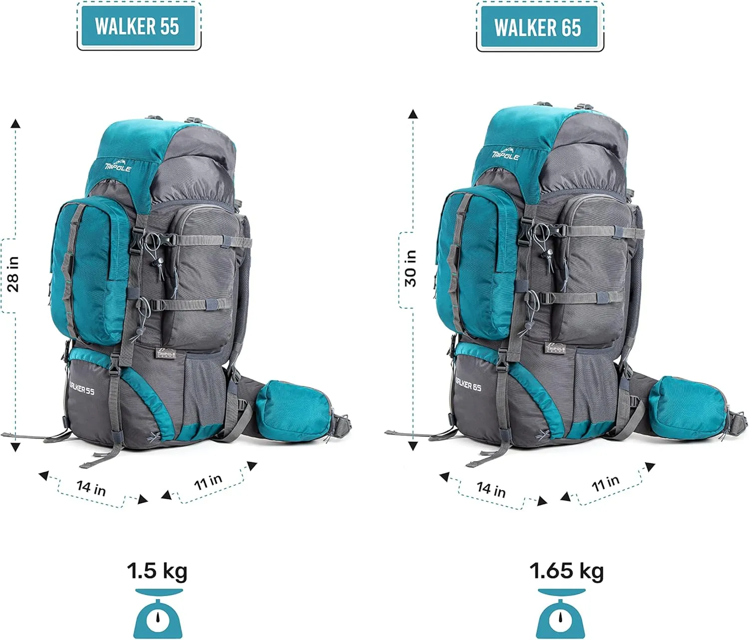 Walker 65 Litres Rucksack | Internal Frame With Metal Rod | Rain Cover | Bottom Opening | Laptop Section